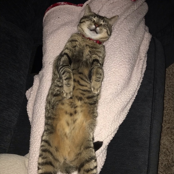 Meet your Posher, Chris - Picture 1 of 1